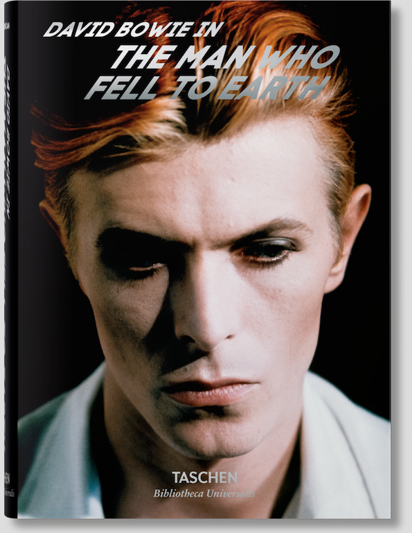 bowie man who fell to earth